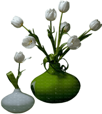 tulipan - ingyenes png