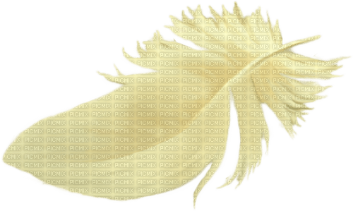 Feder Feather - png gratuito