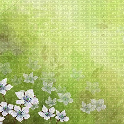 bg-flower-green - 無料png