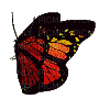 mariposa  gif  dubravka4 - Безплатен анимиран GIF
