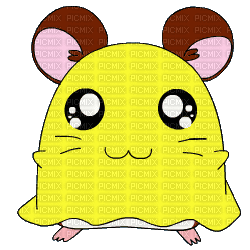hamster - GIF animé gratuit