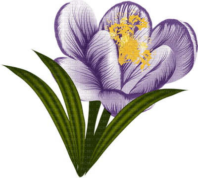 Kaz_Creations Deco Flowers Flower  Purple - nemokama png