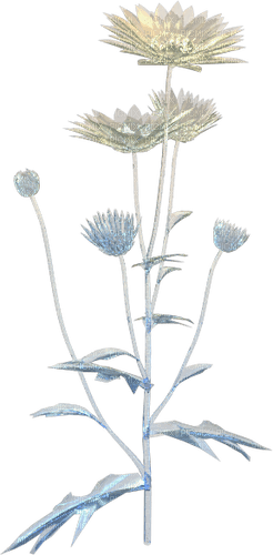 Wild flowers.Victoriabea - nemokama png