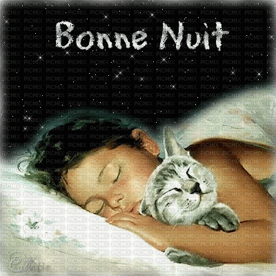 bonne nuit - Δωρεάν κινούμενο GIF