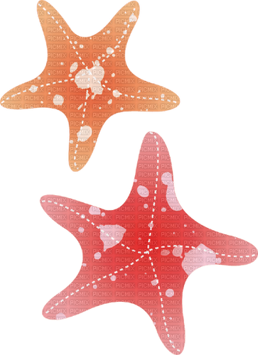 Starfish  Bb2 - безплатен png