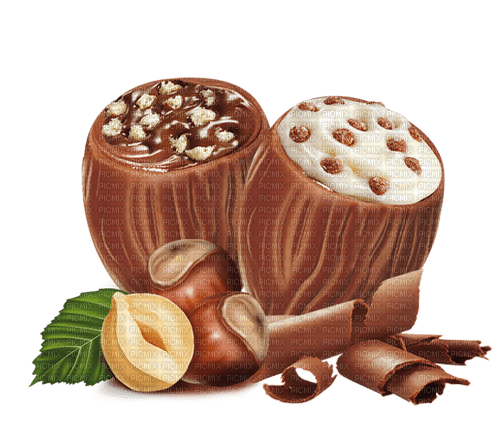 Chocolate Nuts - Bogusia - Free PNG