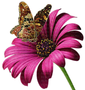 Kaz_Creations Flower Butterfly - Free animated GIF