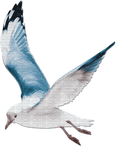 soave deco summer bird blue brown - Free PNG