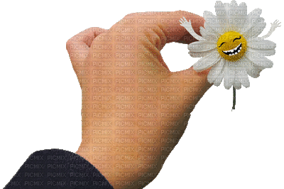 hands flower - GIF animado grátis