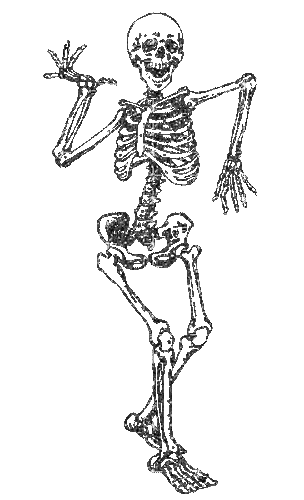 Skeleton - GIF animado grátis