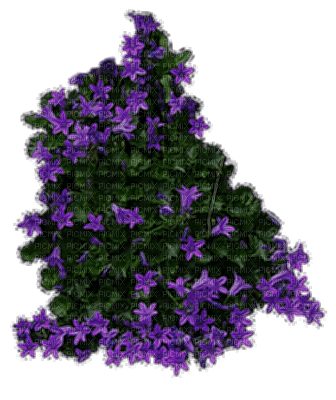 flowers bush -lila - фрее пнг