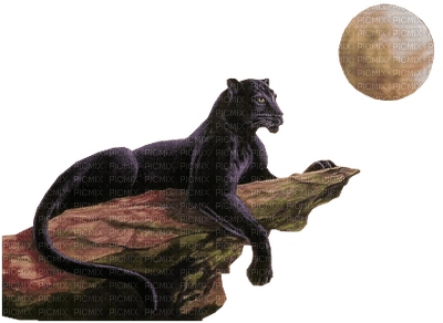 panther moon - zdarma png