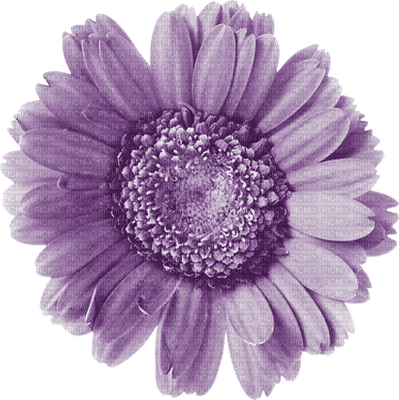 Kaz_Creations Colours Deco Flower - gratis png