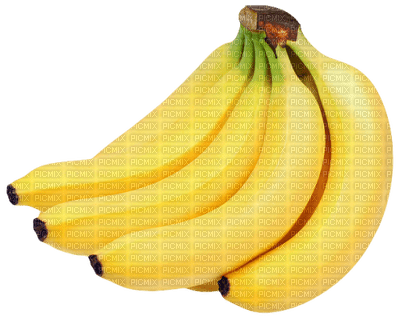 Bananas.Fruit.Victoriabea - PNG gratuit