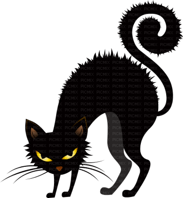 minou-halloween-cat - ücretsiz png