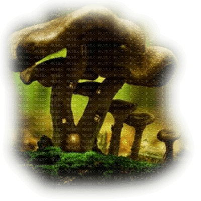 Kaz_Creations Deco Toadstools Mushrooms - zdarma png