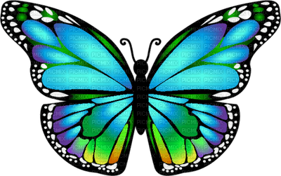 Mariposa vidriera - PNG gratuit