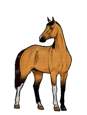 aze cheval marron Brown - Zdarma animovaný GIF