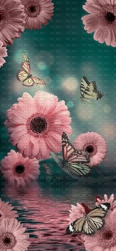 Flowers and Butterflys - nemokama png
