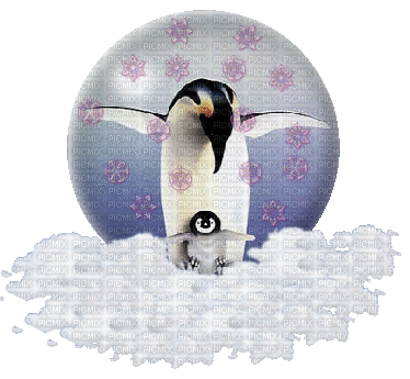 pingouins - GIF animado gratis
