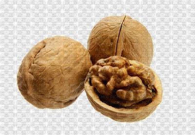 walnut - png ฟรี