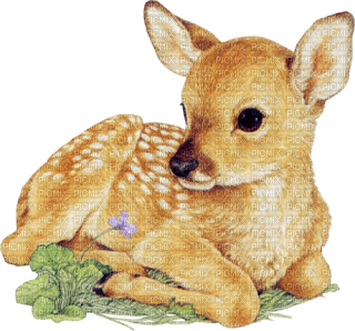 deer katrin - 免费PNG