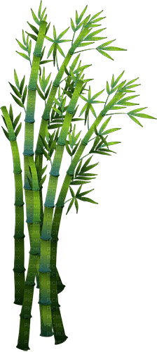 soave deco bamboo orientsl green - zdarma png