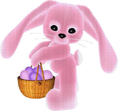 bunny - Zdarma animovaný GIF