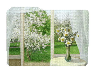 spring printemps frühling primavera весна wiosna  arbre baum tree green garden jardin image room raum window fenster  fenêtre flower fleur terrace espace - 無料のアニメーション GIF