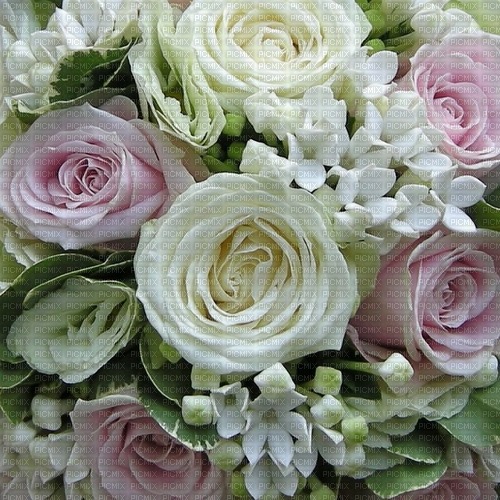Roses Bouquet - безплатен png