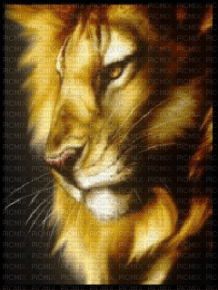 LION - Besplatni animirani GIF