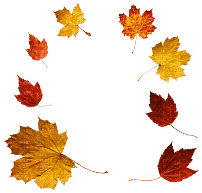Kaz_Creations Autumn Fall Leaves Leafs - zadarmo png