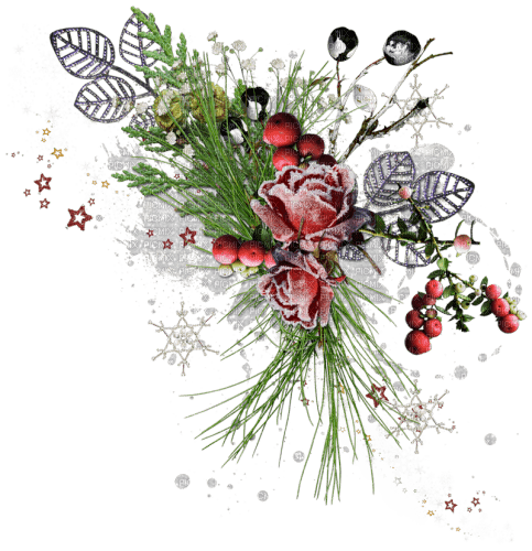 christmas winter cluster - zadarmo png