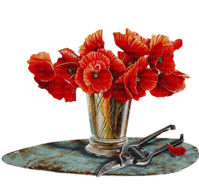Flowers in vase bp - Free PNG