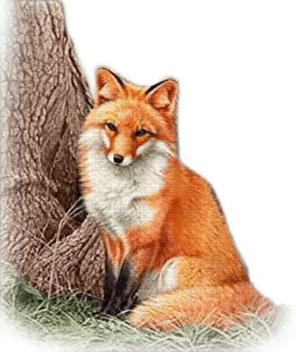 soave autumn fox animals tree  orange brown - png grátis