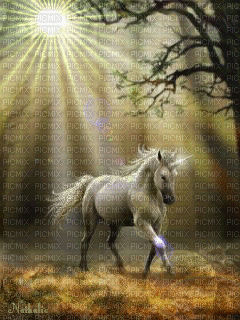 unicorn bp - Ingyenes animált GIF