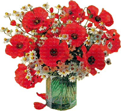 coquelicots web charmille - zdarma png