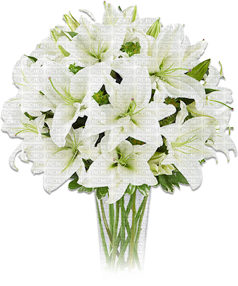 soave deco vase flowers spring lilies white - PNG gratuit