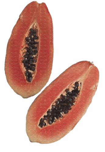 Papaye - zadarmo png