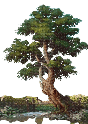 arbre - 免费PNG
