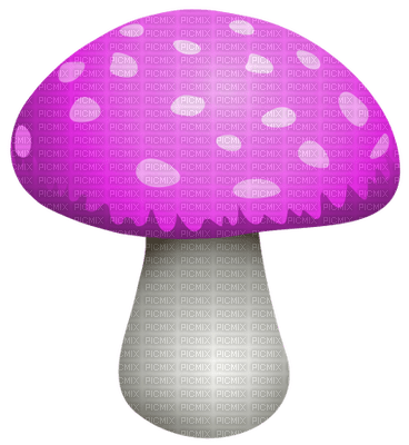 Kaz_Creations  Mushrooms Mushroom - kostenlos png