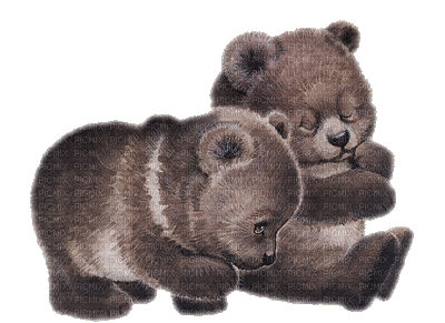 brown bear bp - Безплатен анимиран GIF