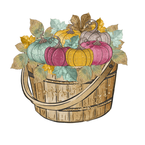 pumpkin basket Bb2 - png ฟรี