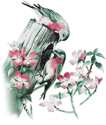 soave deco spring bird branch flowers pink green - zdarma png