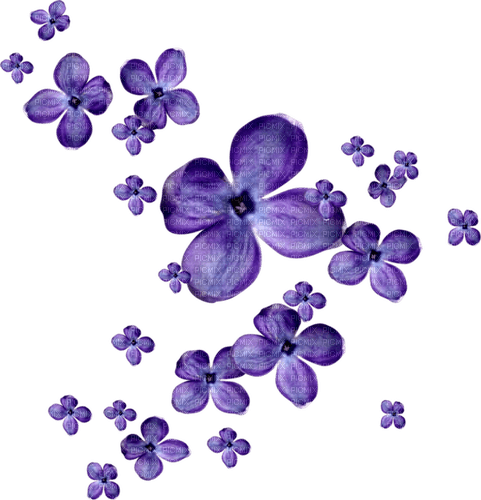 blommor-blå----flowers--blue - ingyenes png