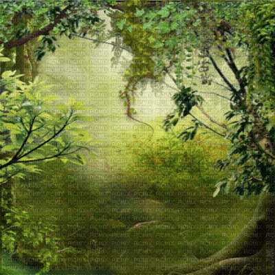 green background - png grátis