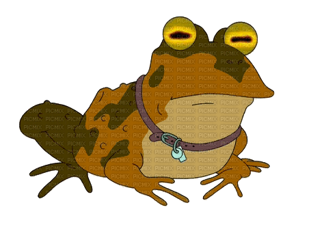 Toad Blinking - Бесплатни анимирани ГИФ