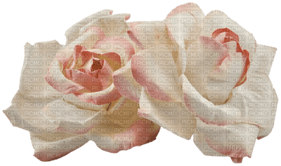 Kaz_Creations Deco  Flowers Colours Victorian - PNG gratuit