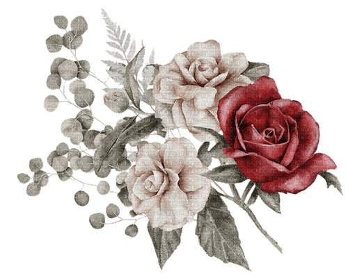 kikkapink roses deco - gratis png