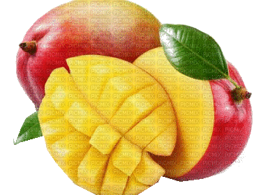 mangue - Gratis animeret GIF